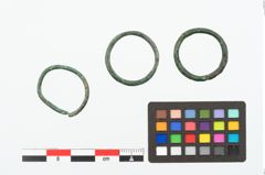 Foto von Bronzering (NHMW-PRAE-025150)